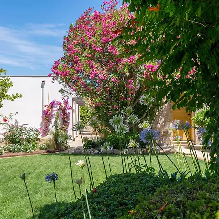 La Caravelle فندق كالفي