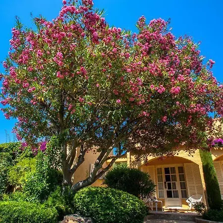 La Caravelle Hotel Calvi (Corsica)
