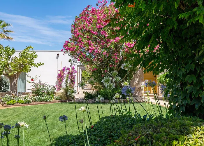 La Caravelle Otel Calvi (Corsica)