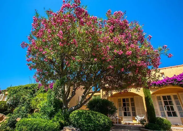 La Caravelle Otel Calvi (Corsica)